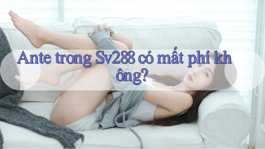 Ante trong Sv288 có mất phí không? Ante trong Sv288 có mất phí không?