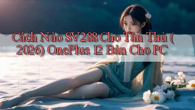 Cách nào Sv288 cho tân thủ (2026) OnePlus 12 bản cho PC