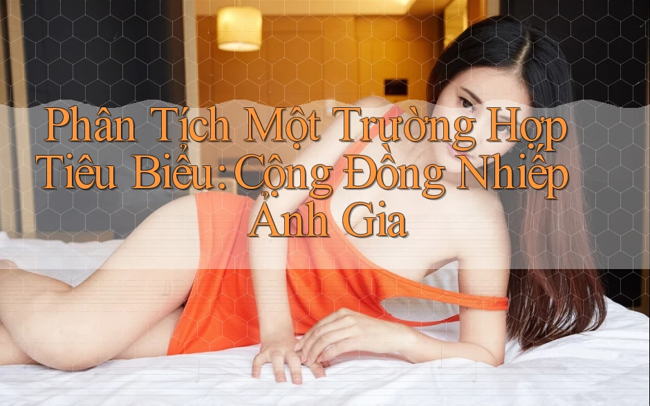 Phân Tích Một Trường Hợp Tiêu Biểu: Cộng Đồng Nhiếp Ảnh Gia Phân Tích Một Trường Hợp Tiêu Biểu: Cộng Đồng Nhiếp Ảnh Gia