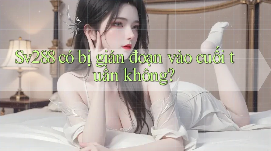 Sv288 có bị gián đoạn vào cuối tuần không?