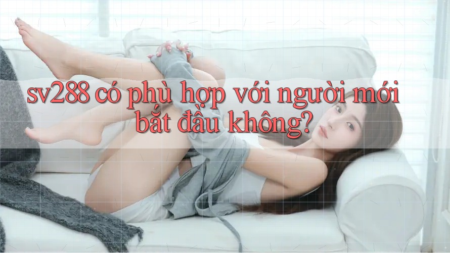sv288 có phù hợp với người mới bắt đầu không? sv288 có phù hợp với người mới bắt đầu không?